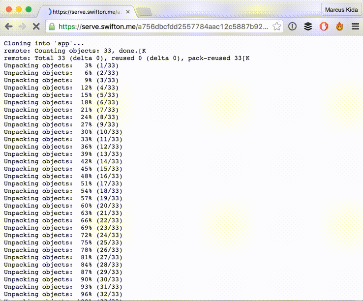 Serve Swifton.me App logs